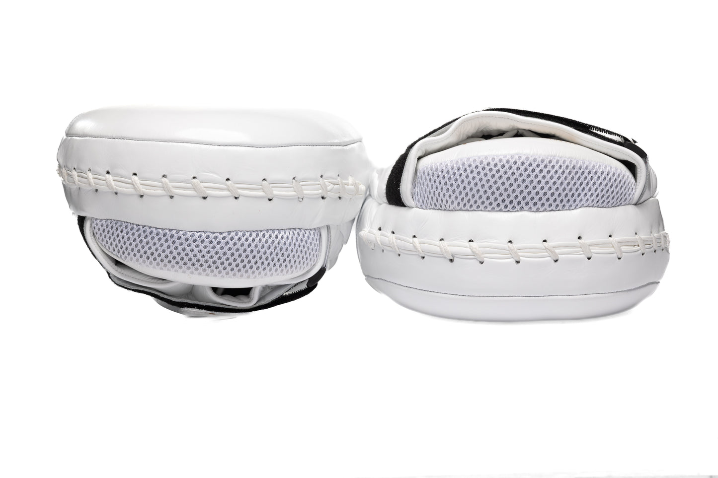 Pattes d'ours Mega Turtle Blanches Hit N Move