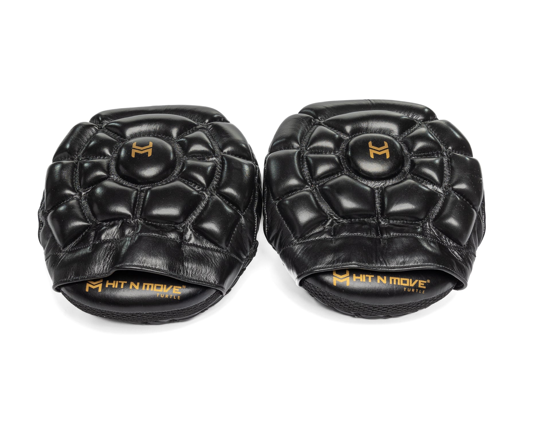 Micro Pattes d'ours Turtle Noir Hit N Move