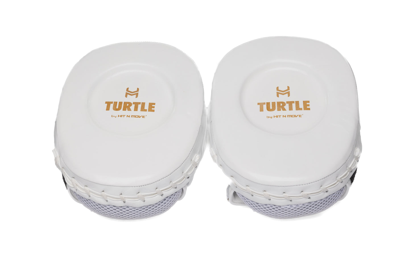 Pattes d'ours Blanches Turtle Hit N Move