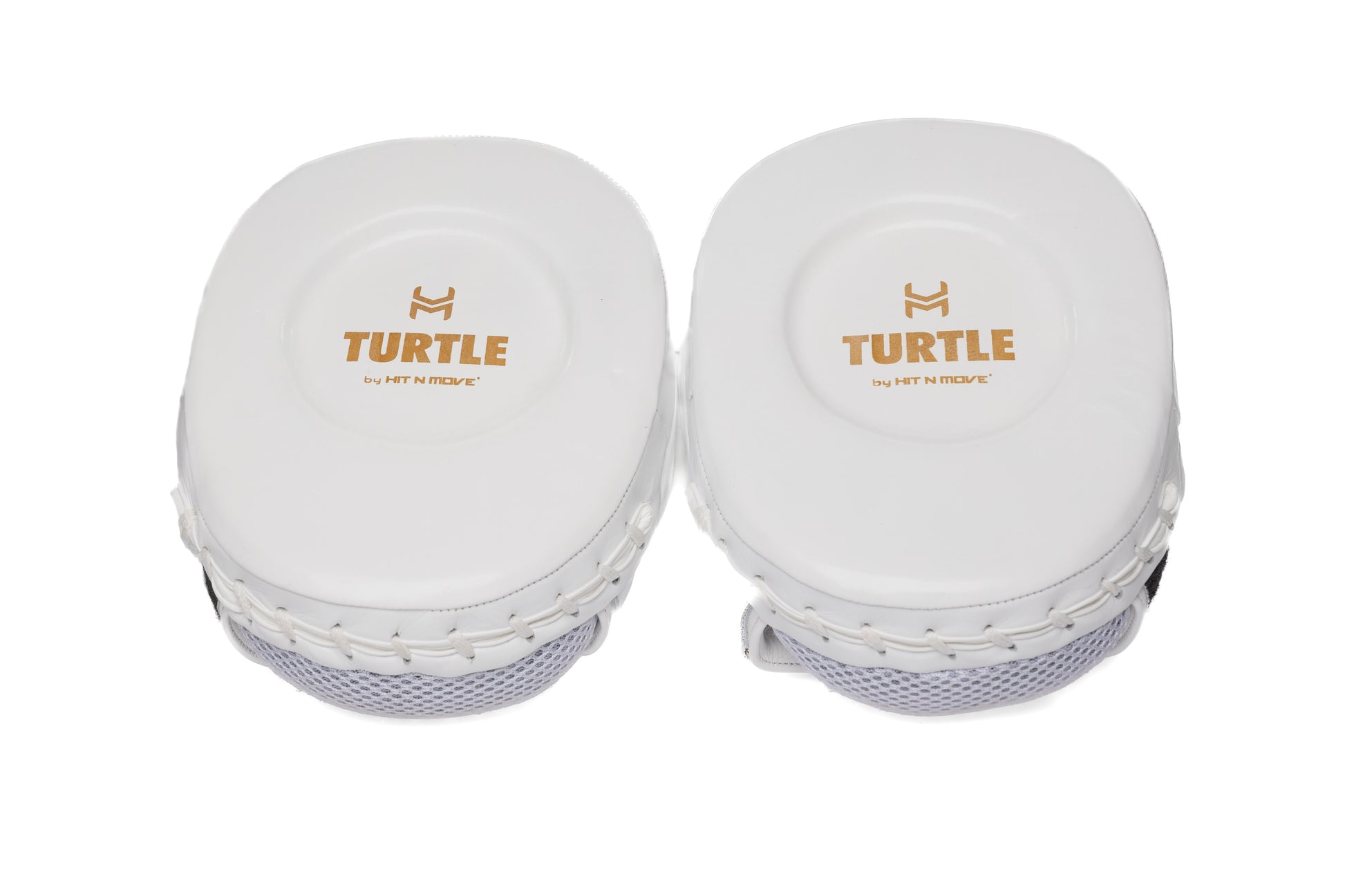 Pattes d'ours Blanches Turtle Hit N Move